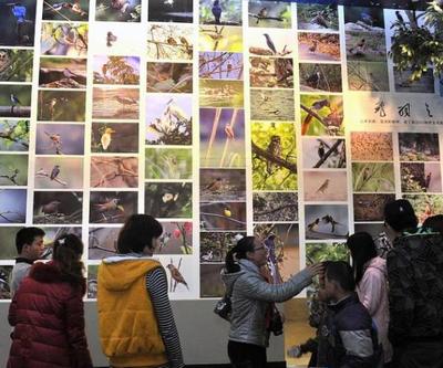 工廠礦山也能變景區(qū)？國家工業(yè)遺產(chǎn)旅游基地名單出爐 市場(chǎng)營銷策劃篇